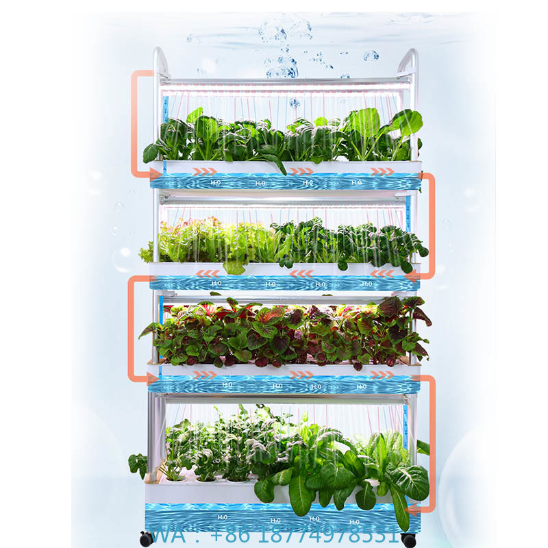 Sistema de plantación ydroponi - Smart Home Automation System reseña y precio