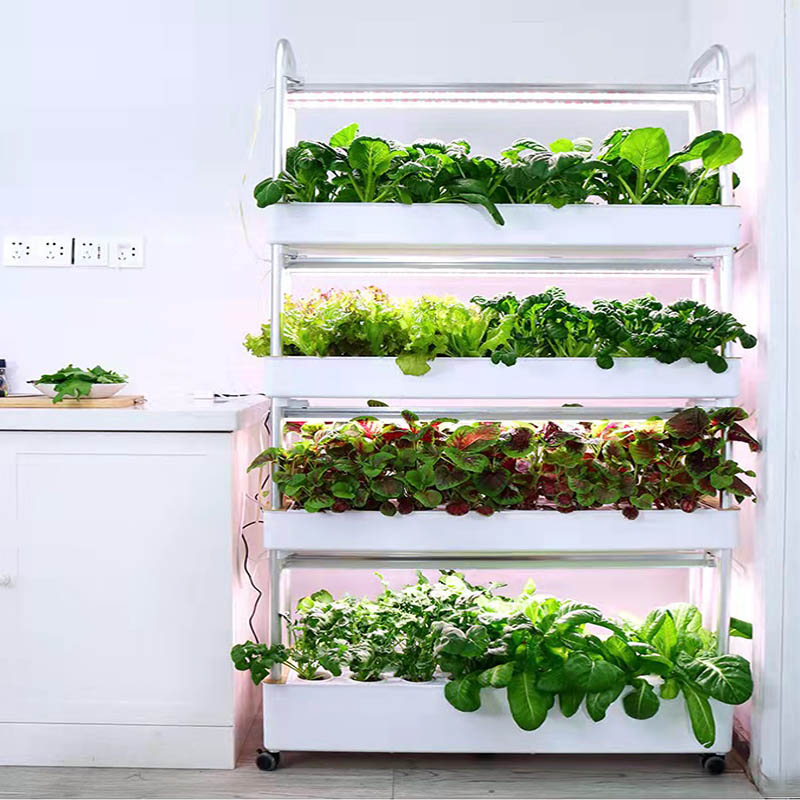 Sistema de plantación ydroponi - Smart Home Automation System reseña y precio