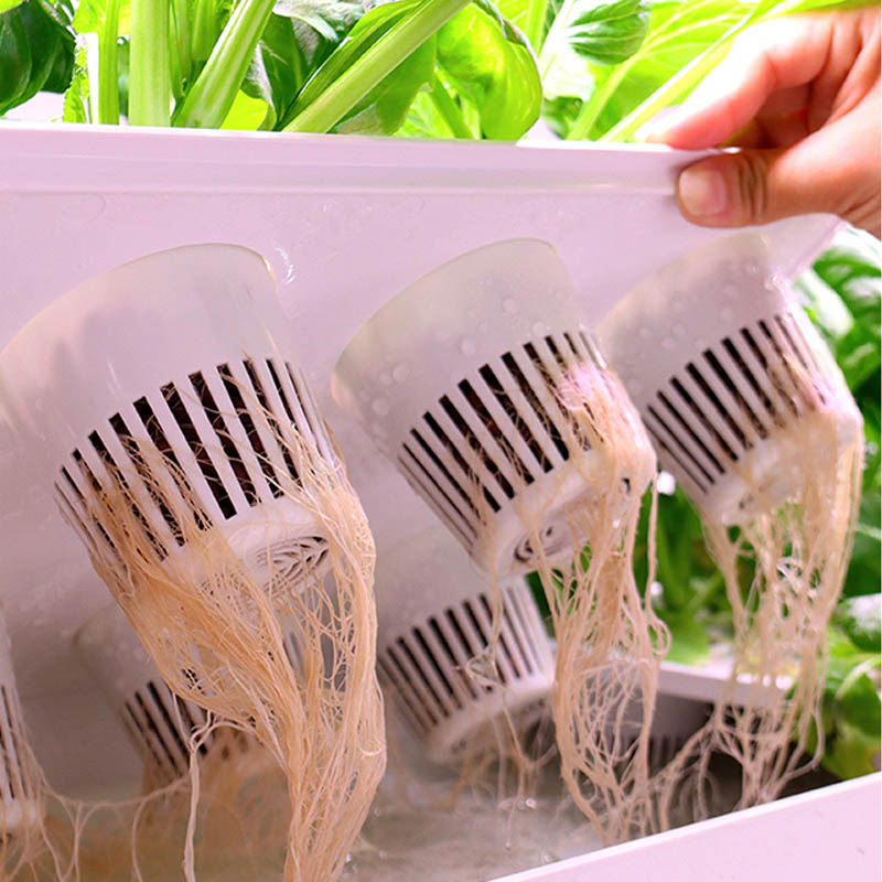 Sistema de plantación ydroponi - Smart Home Automation System reseña y precio